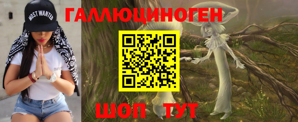 Галлюциногенные грибы Psilocybine cubensis  Вход с VPN  Керчь 